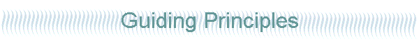Guiding Principles