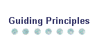Guiding Principles