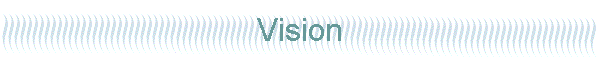 Vision